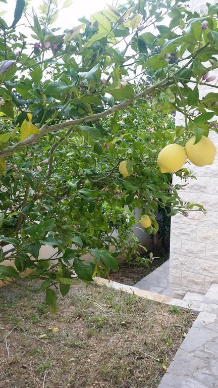 Vacation Villa Brac Splitska Dış mekan fotoğraf